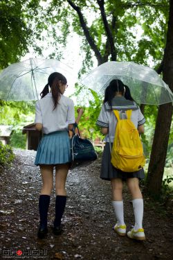 田雨